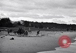 Image of breeches buoy rescue Muskegon Michigan USA, 1916, second 52 stock footage video 65675035670