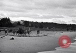 Image of breeches buoy rescue Muskegon Michigan USA, 1916, second 53 stock footage video 65675035670