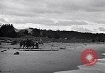Image of breeches buoy rescue Muskegon Michigan USA, 1916, second 56 stock footage video 65675035670