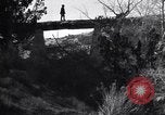 Image of Grand Canyon Arizona United States USA, 1916, second 8 stock footage video 65675035681
