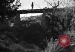 Image of Grand Canyon Arizona United States USA, 1916, second 9 stock footage video 65675035681
