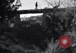 Image of Grand Canyon Arizona United States USA, 1916, second 10 stock footage video 65675035681