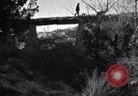 Image of Grand Canyon Arizona United States USA, 1916, second 12 stock footage video 65675035681