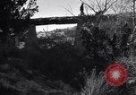 Image of Grand Canyon Arizona United States USA, 1916, second 13 stock footage video 65675035681
