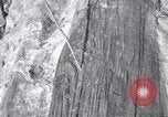 Image of Grand Canyon Arizona United States USA, 1916, second 31 stock footage video 65675035681