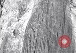 Image of Grand Canyon Arizona United States USA, 1916, second 32 stock footage video 65675035681