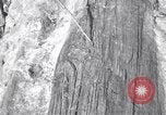 Image of Grand Canyon Arizona United States USA, 1916, second 33 stock footage video 65675035681