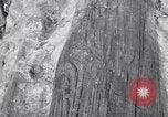 Image of Grand Canyon Arizona United States USA, 1916, second 35 stock footage video 65675035681
