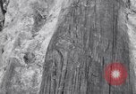 Image of Grand Canyon Arizona United States USA, 1916, second 36 stock footage video 65675035681