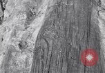 Image of Grand Canyon Arizona United States USA, 1916, second 38 stock footage video 65675035681