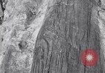Image of Grand Canyon Arizona United States USA, 1916, second 39 stock footage video 65675035681