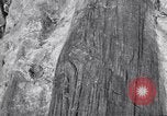 Image of Grand Canyon Arizona United States USA, 1916, second 42 stock footage video 65675035681