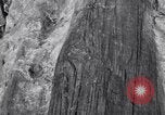 Image of Grand Canyon Arizona United States USA, 1916, second 44 stock footage video 65675035681