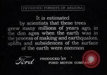 Image of Grand Canyon Arizona United States USA, 1916, second 45 stock footage video 65675035681