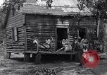 Immagine di African American cestello tessitori Carolina del Sud, 1916, secondo 8 filmato di repertorio 65675035682
