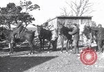 Immagine di Grand Canyon Arizona United States USA, 1916, secondo 21 filmato di repertorio 65675035684