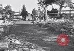 Immagine di Grand Canyon Arizona United States USA, 1916, secondo 32 filmato di repertorio 65675035684