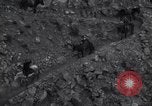 Standbild Grand Canyon Arizona United States USA, 1916, aus Sekunde 37 historischem Filmmaterial Videoclip 65675035685