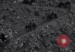 Standbild Grand Canyon Arizona United States USA, 1916, aus Sekunde 39 historischem Filmmaterial Videoclip 65675035685