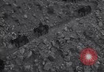 Standbild Grand Canyon Arizona United States USA, 1916, aus Sekunde 43 historischem Filmmaterial Videoclip 65675035685