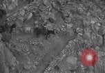 Standbild Grand Canyon Arizona United States USA, 1916, aus Sekunde 57 historischem Filmmaterial Videoclip 65675035685