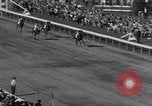 Standbild Preakness Stakes gewonnen durch Zitat mit Jockey Arcaro bis Baltimore Maryland USA, 1948, aus Sekunde 50 historischem Filmmaterial Videoclip 65675035703