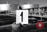 Image Anglo Iranian Oil Company Installation Abadan Iran, 1951, de la seconde 1 séquences d'archives historiques vidéo 65675035724