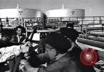 Image Anglo Iranian Oil Company Installation Abadan Iran, 1951, de la seconde 43 séquences d'archives historiques vidéo 65675035724