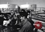 Image Anglo Iranian Oil Company Installation Abadan Iran, 1951, de la seconde 44 séquences d'archives historiques vidéo 65675035724