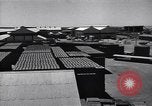 Standbild Anglo-iranischen Ölgesellschaft facility Abadan Iran, 1951, aus Sekunde 30 historischem Filmmaterial Videoclip 65675035726