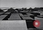 Standbild Anglo-iranischen Ölgesellschaft facility Abadan Iran, 1951, aus Sekunde 31 historischem Filmmaterial Videoclip 65675035726