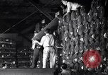 Image of Operations at Textile Mill New York United States USA, 1939, second 27 stock footage video 65675035752