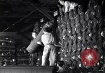 Image of Operations at Textile Mill New York United States USA, 1939, second 28 stock footage video 65675035752
