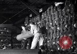 Image of Operations at Textile Mill New York United States USA, 1939, second 29 stock footage video 65675035752
