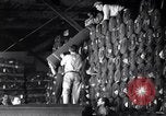 Image of Operations at Textile Mill New York United States USA, 1939, second 33 stock footage video 65675035752
