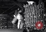 Image of Operations at Textile Mill New York United States USA, 1939, second 34 stock footage video 65675035752