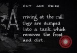 Image of making products from trees United States USA, 1920, second 21 stock footage video 65675035755