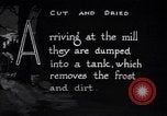 Image of making products from trees United States USA, 1920, second 26 stock footage video 65675035755