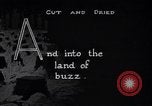 Image of making products from trees United States USA, 1920, second 35 stock footage video 65675035755