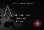 Image of making products from trees United States USA, 1920, second 36 stock footage video 65675035755