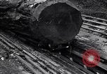 Image of making products from trees United States USA, 1920, second 41 stock footage video 65675035755