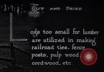 Image of making products from trees United States USA, 1920, second 43 stock footage video 65675035755
