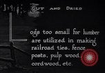 Image of making products from trees United States USA, 1920, second 44 stock footage video 65675035755