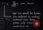Image of making products from trees United States USA, 1920, second 45 stock footage video 65675035755