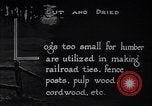 Image of making products from trees United States USA, 1920, second 49 stock footage video 65675035755