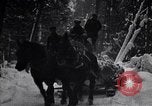 Image of Loggers working at camps Northern United States USA, 1920, second 38 stock footage video 65675035756