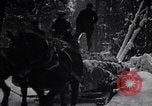 Image of Loggers working at camps Northern United States USA, 1920, second 39 stock footage video 65675035756