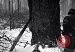 Image of Loggers working at camps Northern United States USA, 1920, second 41 stock footage video 65675035756