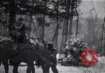 Image of Loggers working at camps Northern United States USA, 1920, second 61 stock footage video 65675035756