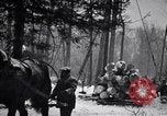 Image of Loggers working at camps Northern United States USA, 1920, second 62 stock footage video 65675035756